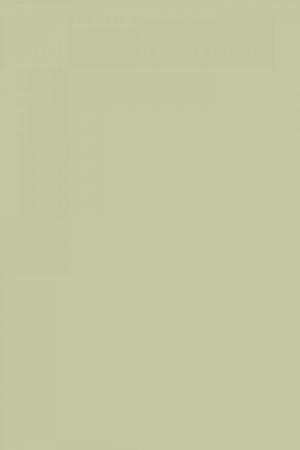FARROW AND BALL STONE WHITE NO. 11 PAINT